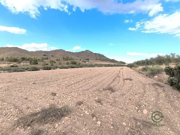 Finca agrícola de 0,88 ha en venta en Yecla, Murcia