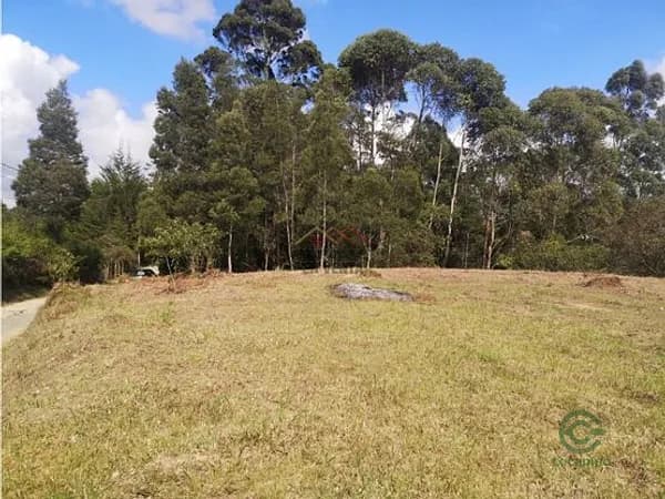 Finca forestal de 0,13 ha en venta en Antioquia