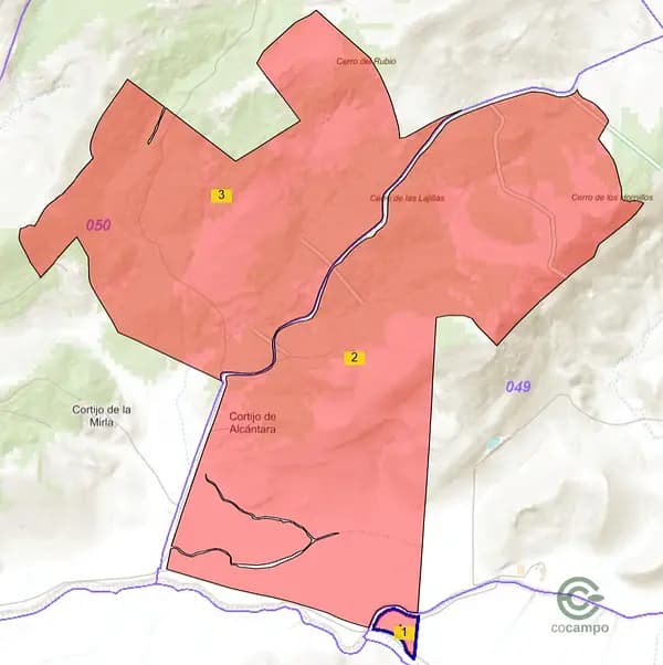 Finca agrícola de 386 ha en venta en Cádiz
