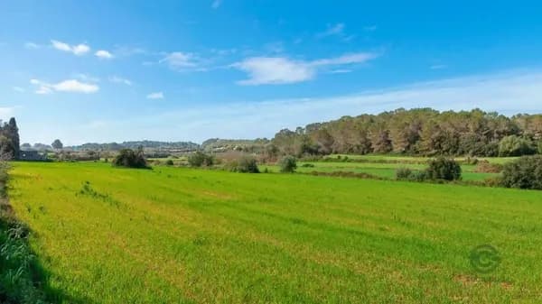 Finca rústica de 3,91 ha en venta en Muro, Mallorca