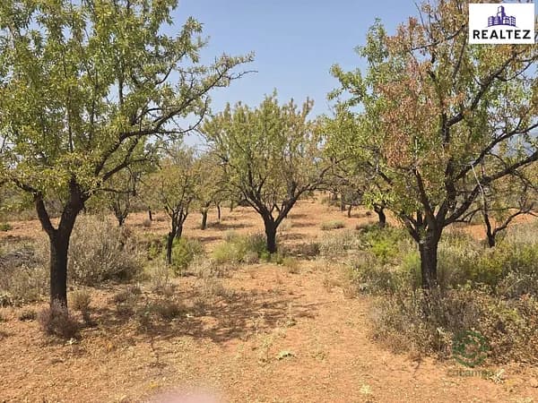 Finca agrícola de 0,1135 ha en venta en Alcolea, Almeria