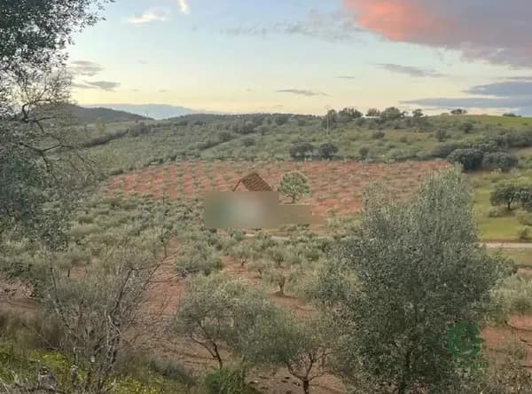 Finca agrícola de 4 ha en venta en Badajoz