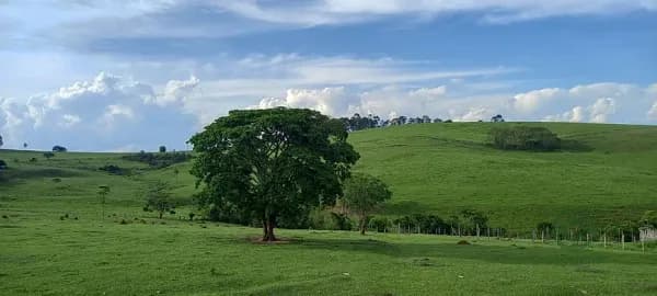 Fazenda agrícola de 3,02 ha para venda em São paulo