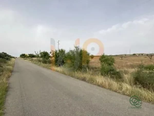 Finca agrícola de 1,6 ha en venta en Huercal-overa, Almeria
