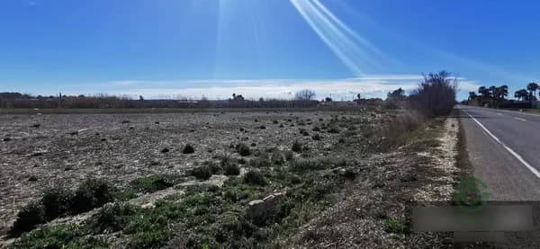 Finca rústica de 0,6148 ha en venta en Elche/elx, Alicante