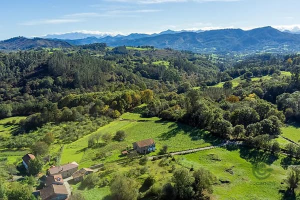 Finca agrícola de 0,63 ha en venta en Asturias