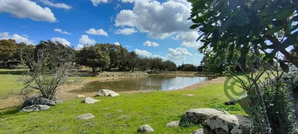 Finca rústica de 8 ha en venta en Sevilla