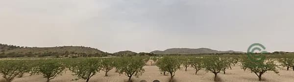 Finca rústica de 120 ha en venta en Tobarra, Albacete