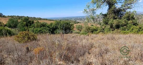 Finca rústica de 0,412 ha en venta en Albufeira, Algarve