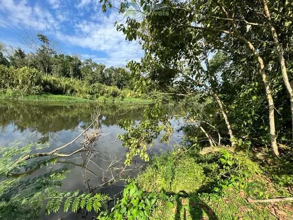 Fazenda rustica de 5,55 ha para venda em Paraná