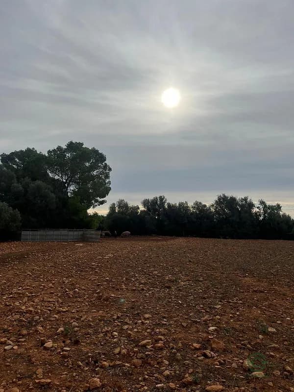 Finca ganadera de 1,7856 ha en venta en Llucmajor, Baleares