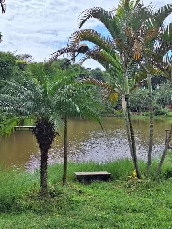 Fazenda de recreação de 3,5 ha para venda em Minas gerais