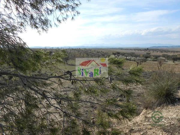 Finca rústica de 0,6582 ha en venta en Cieza, Murcia