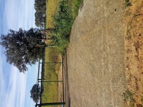 Finca rústica de 6 ha en venta en Toledo