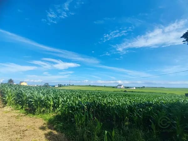 Finca agrícola de 0,1569 ha en venta en Tapia de casariego, Asturias
