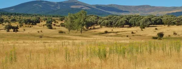 Finca rústica de 800 ha en venta en Segovia