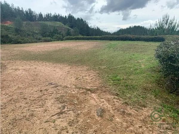 Terreno urbano de 1 ha en venta en Antioquia