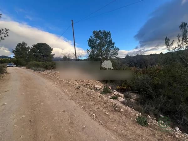 Finca agrícola de 0,6 ha en venta en Torremanzanas, Alicante