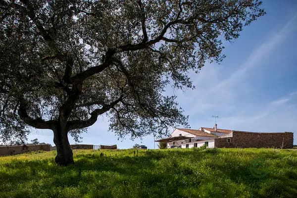 Finca rústica de 956 ha en venta en Sevilla