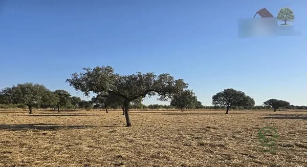Finca rústica de 50 ha en venta en 