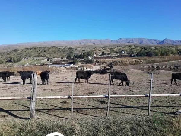 Finca rústica de 2000 ha en venta en San luis