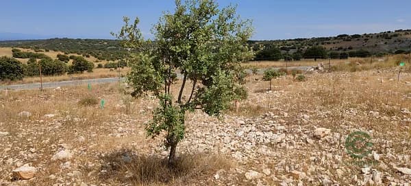 Finca rústica de 11 ha en venta en Soria