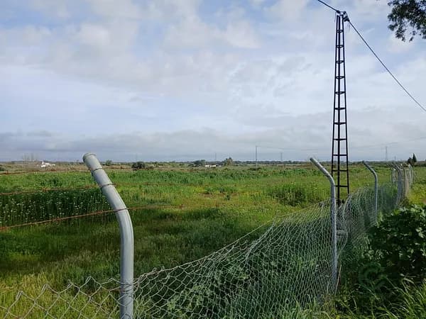 Finca agrícola de 1 ha en venta en Gibraleón, Huelva