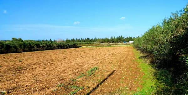 Finca rústica de 1,6975 ha en venta en Vilanova i la geltru, Barcelona