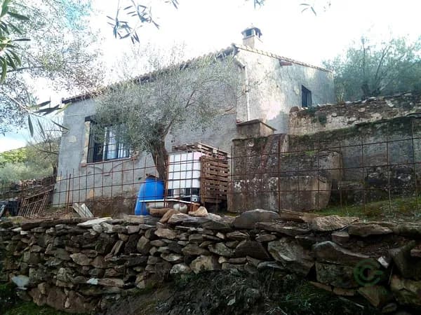 Finca agrícola de 8,5 ha en venta en Fuentes de león, Badajoz