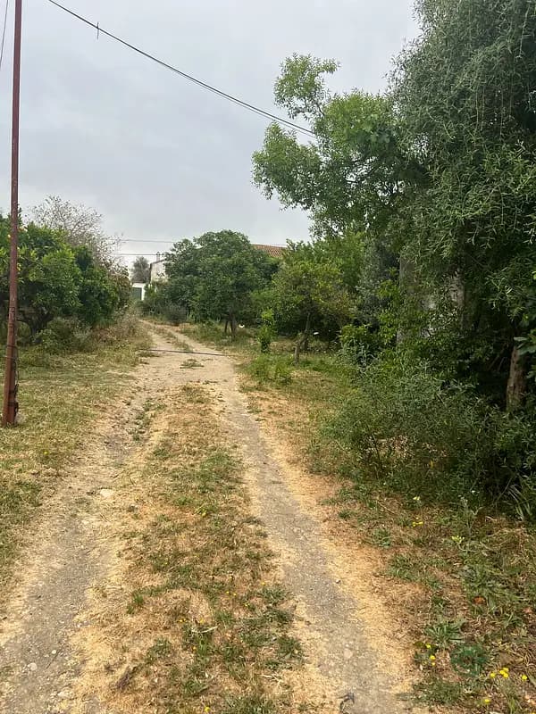 Finca rústica de 1 ha en venta en Cádiz