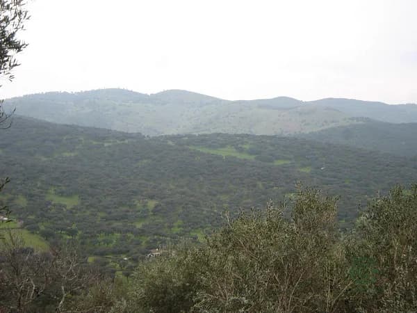 Finca rústica de 1,1449 ha en venta en Fuentes de león, Badajoz