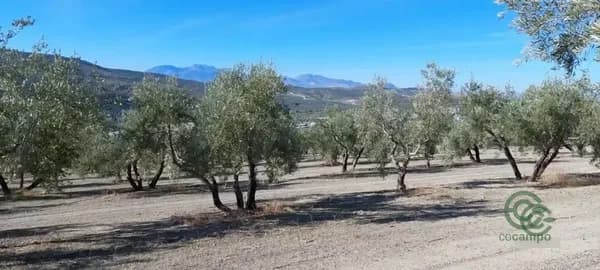 Finca agrícola de 2,96 ha en venta en Quesada, Jaen