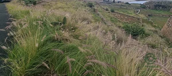 Finca agrícola de 0,19 ha en venta en Tenerife