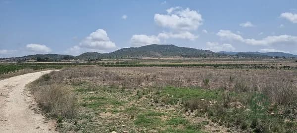 Finca agrícola de 8,4052 ha en venta en Pinoso, Alicante