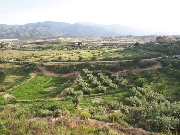 Finca rústica de 1,3281 ha en venta en Urracal, Almeria
