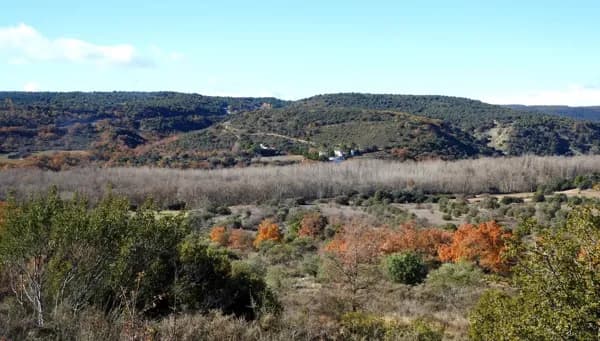 Finca rústica de 70 ha en venta en Guadalajara