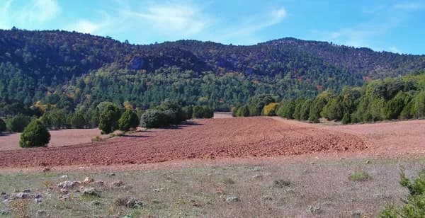Finca rústica de 300 ha en venta en Teruel
