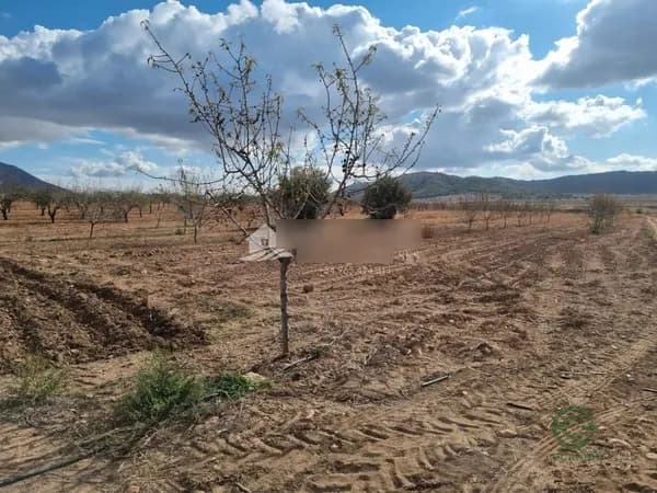Finca agrícola de 5,1336 ha en venta en Abanilla, Murcia