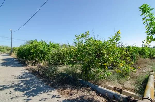 Finca agrícola de 0,1572 ha en venta en Algezares, Murcia
