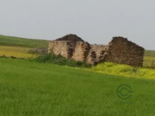 Finca agrícola de 2 ha en venta en Ciudad real