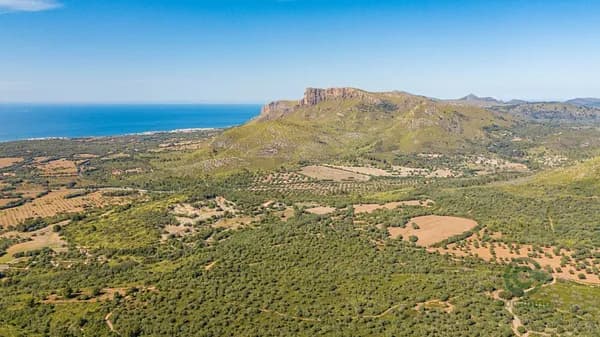 Finca rústica de 544,2649 ha en venta en Artà, Baleares