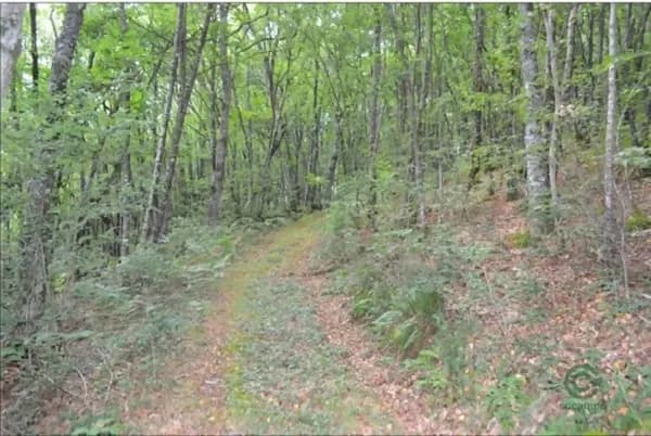 Finca rústica de 2,1 ha en venta en Lugo