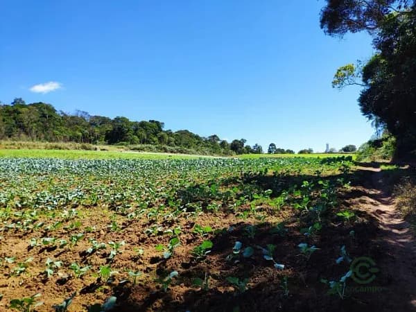 Fazenda rustica de 4,57 ha para venda em São paulo