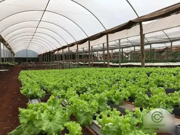 Fazenda agrícola de 9,68 ha para venda em Paraná