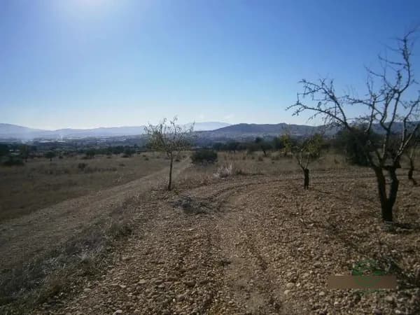 Finca agrícola de 2 ha en venta en Yecla, Murcia