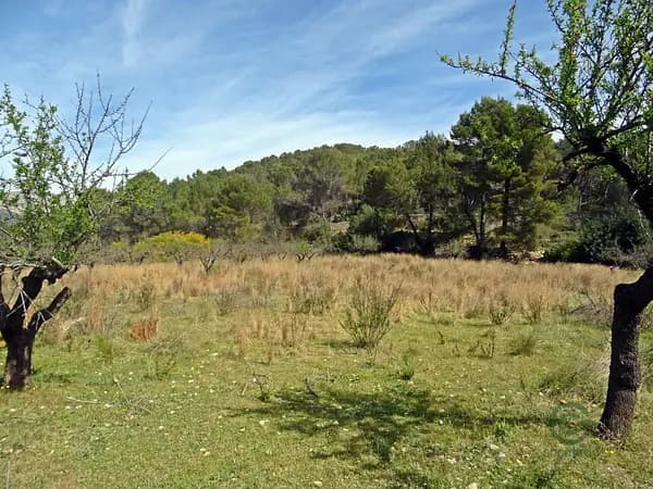 Finca rústica de 1,2071 ha en venta en Murla, Alicante