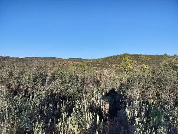 Finca rústica de 19,21 ha en venta en Huelva