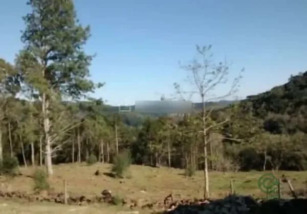 Fazenda rustica de 3,01 ha para venda em Rio grande do sul