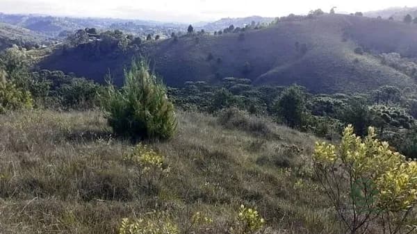Fazenda rustica de 4,68 ha para venda em São paulo