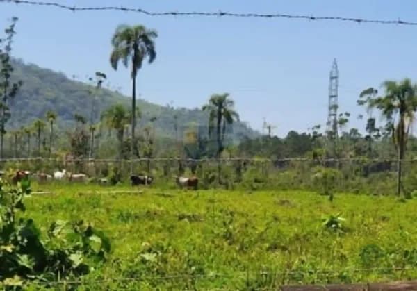 Fazenda ganadera de 19 ha para venda em Santa catarina